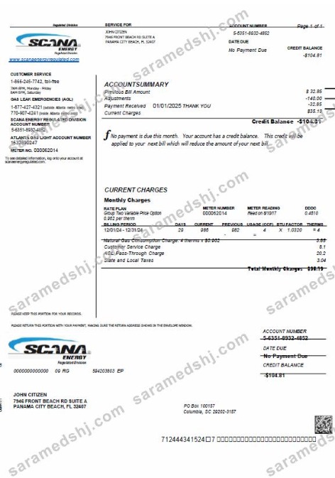 USA SCANA Energy utility bill template in Word and PDF formats